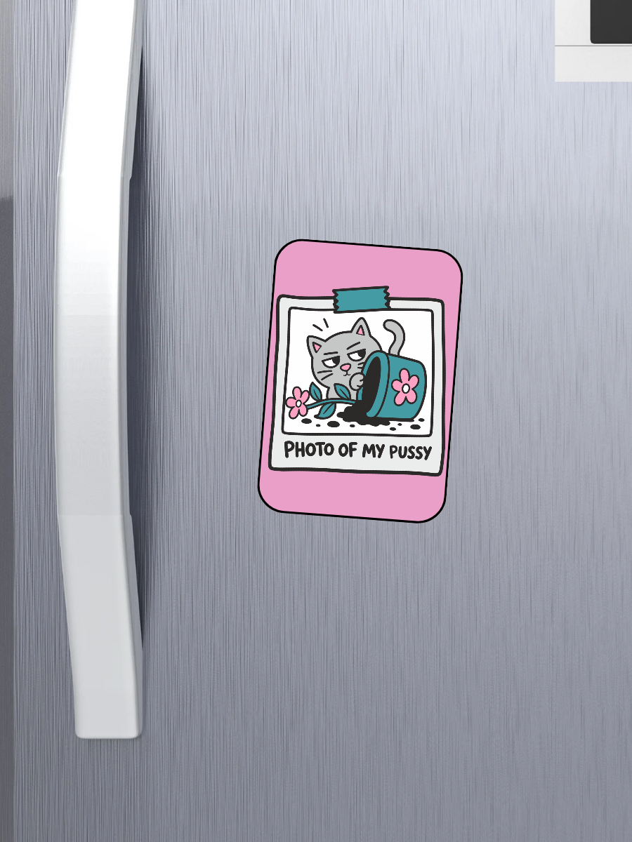 Magnets