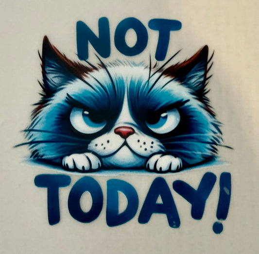 Sarcasm - Ready to Press Designs